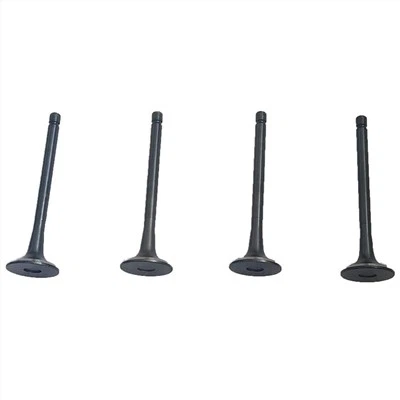 1003011FA EXHAUST VALVES