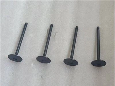 10033012FA INTAKE VALVES