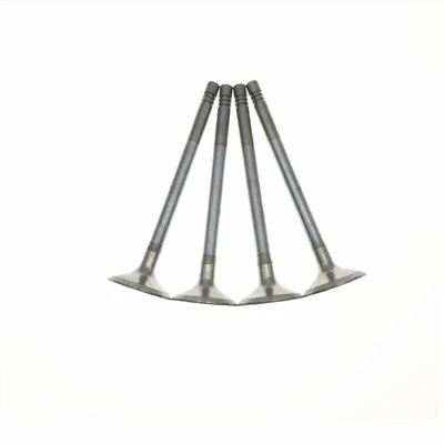 480EF-1007012 EXHAUST VALVE ASSEMBLY FOR A11/A15/A18