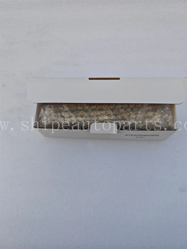 61560080305 Weichai Fuel Injector KBEL132P110 For WD615 Engine Sinotruk HOWO Steyr Heavy Truck Spare Parts suppliers