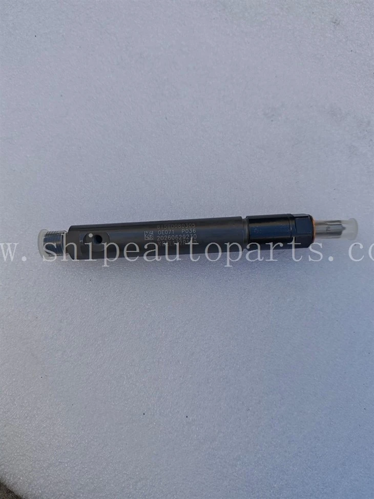 61560080305 Weichai Fuel Injector KBEL132P110 For WD615 Engine Sinotruk HOWO Steyr Heavy Truck Spare Parts factory